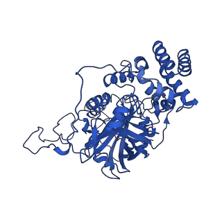 40469_8sgv_D_v1-0
human liver mitochondrial Catalase