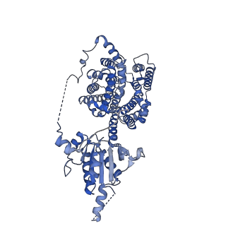 40470_8sgw_C_v1-1
Pendrin in complex with chloride