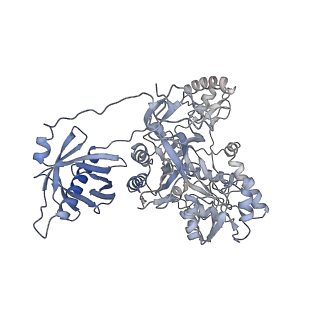 40474_8sgz_B_v1-0
Leishmania tarentolae propionyl-CoA carboxylase (alpha-6-beta-6)