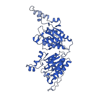 40474_8sgz_F_v1-0
Leishmania tarentolae propionyl-CoA carboxylase (alpha-6-beta-6)