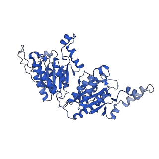 40474_8sgz_G_v1-0
Leishmania tarentolae propionyl-CoA carboxylase (alpha-6-beta-6)