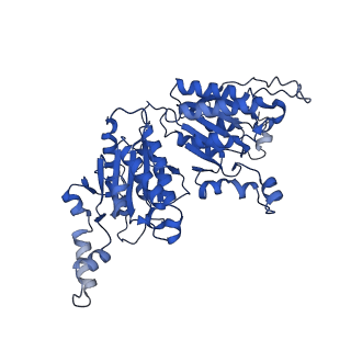 40474_8sgz_H_v1-0
Leishmania tarentolae propionyl-CoA carboxylase (alpha-6-beta-6)