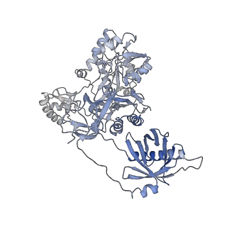 40474_8sgz_S_v1-0
Leishmania tarentolae propionyl-CoA carboxylase (alpha-6-beta-6)