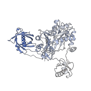 40474_8sgz_V_v1-0
Leishmania tarentolae propionyl-CoA carboxylase (alpha-6-beta-6)
