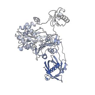 40474_8sgz_X_v1-0
Leishmania tarentolae propionyl-CoA carboxylase (alpha-6-beta-6)
