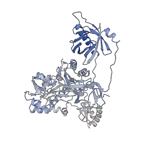 40474_8sgz_Y_v1-0
Leishmania tarentolae propionyl-CoA carboxylase (alpha-6-beta-6)