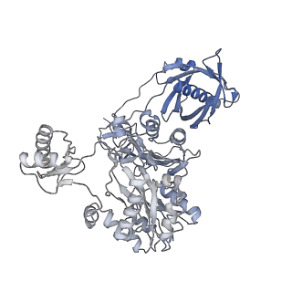 40474_8sgz_Z_v1-0
Leishmania tarentolae propionyl-CoA carboxylase (alpha-6-beta-6)