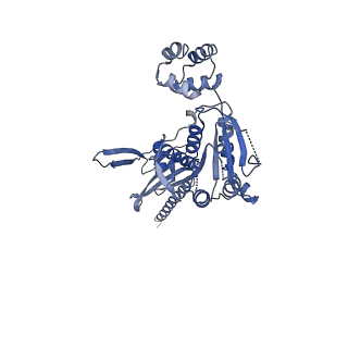10192_6sh3_A_v1-1
Structure of the ADP state of the heptameric Bcs1 AAA-ATPase