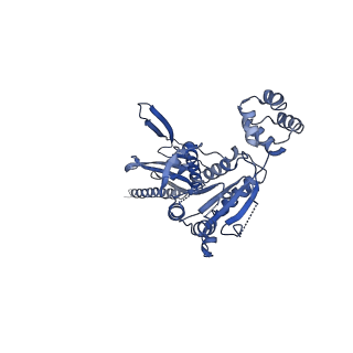 10192_6sh3_B_v1-1
Structure of the ADP state of the heptameric Bcs1 AAA-ATPase