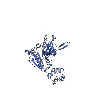 10192_6sh3_D_v1-1
Structure of the ADP state of the heptameric Bcs1 AAA-ATPase
