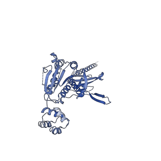 10192_6sh3_E_v1-1
Structure of the ADP state of the heptameric Bcs1 AAA-ATPase
