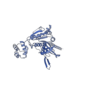10192_6sh3_F_v1-1
Structure of the ADP state of the heptameric Bcs1 AAA-ATPase