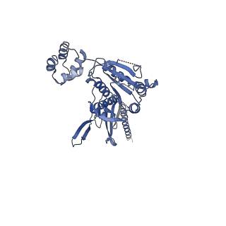 10192_6sh3_G_v1-1
Structure of the ADP state of the heptameric Bcs1 AAA-ATPase