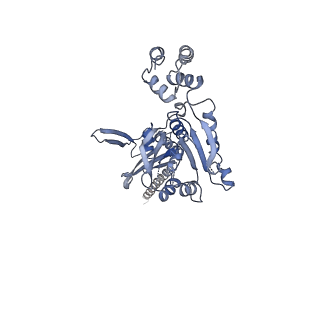 10193_6sh4_A_v1-1
Structure of the Apo1 state of the heptameric Bcs1 AAA-ATPase.