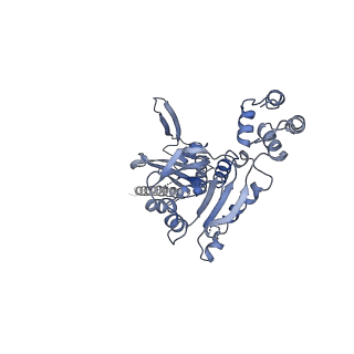 10193_6sh4_B_v1-1
Structure of the Apo1 state of the heptameric Bcs1 AAA-ATPase.