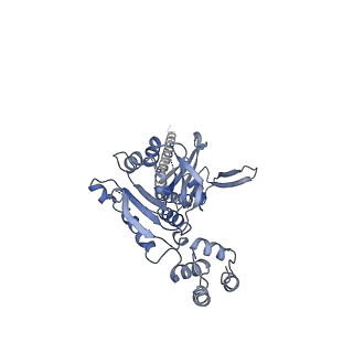 10193_6sh4_D_v1-1
Structure of the Apo1 state of the heptameric Bcs1 AAA-ATPase.