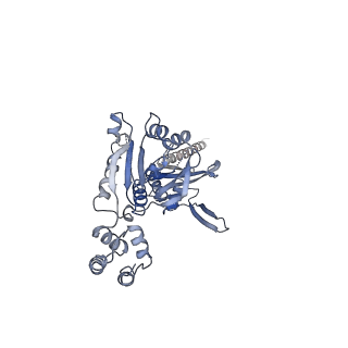 10193_6sh4_E_v1-1
Structure of the Apo1 state of the heptameric Bcs1 AAA-ATPase.
