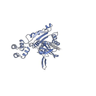 10193_6sh4_F_v1-1
Structure of the Apo1 state of the heptameric Bcs1 AAA-ATPase.