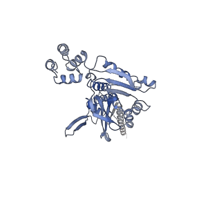 10193_6sh4_G_v1-1
Structure of the Apo1 state of the heptameric Bcs1 AAA-ATPase.