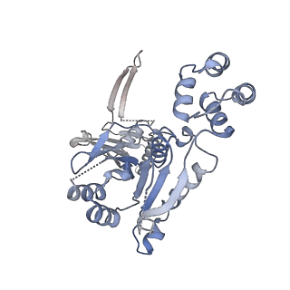 10194_6sh5_B_v1-1
Structure of the Apo2 state of the heptameric Bcs1 AAA-ATPase