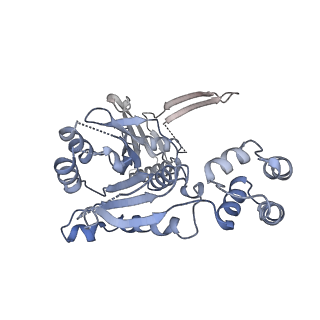 10194_6sh5_C_v1-1
Structure of the Apo2 state of the heptameric Bcs1 AAA-ATPase