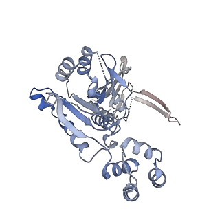 10194_6sh5_D_v1-1
Structure of the Apo2 state of the heptameric Bcs1 AAA-ATPase