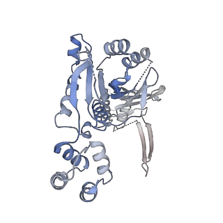 10194_6sh5_E_v1-1
Structure of the Apo2 state of the heptameric Bcs1 AAA-ATPase