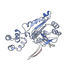 10194_6sh5_F_v1-1
Structure of the Apo2 state of the heptameric Bcs1 AAA-ATPase