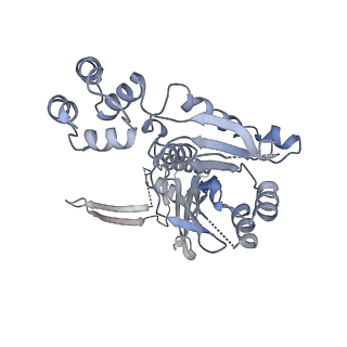 10194_6sh5_G_v1-1
Structure of the Apo2 state of the heptameric Bcs1 AAA-ATPase