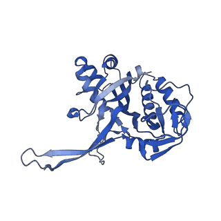 10196_6sh8_F_v1-2
Cryo-EM structure of the Type III-B Cmr-beta bound to cognate target RNA and AMPPnP, state 2, in the presence of ssDNA
