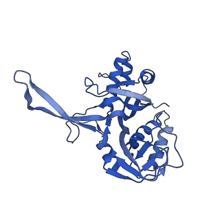 10196_6sh8_G_v1-2
Cryo-EM structure of the Type III-B Cmr-beta bound to cognate target RNA and AMPPnP, state 2, in the presence of ssDNA