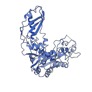 10196_6sh8_J_v1-2
Cryo-EM structure of the Type III-B Cmr-beta bound to cognate target RNA and AMPPnP, state 2, in the presence of ssDNA