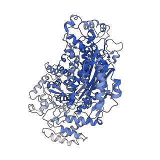 10196_6sh8_K_v1-2
Cryo-EM structure of the Type III-B Cmr-beta bound to cognate target RNA and AMPPnP, state 2, in the presence of ssDNA