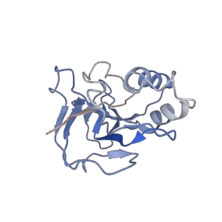 10196_6sh8_L_v1-2
Cryo-EM structure of the Type III-B Cmr-beta bound to cognate target RNA and AMPPnP, state 2, in the presence of ssDNA