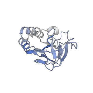 10196_6sh8_N_v1-2
Cryo-EM structure of the Type III-B Cmr-beta bound to cognate target RNA and AMPPnP, state 2, in the presence of ssDNA