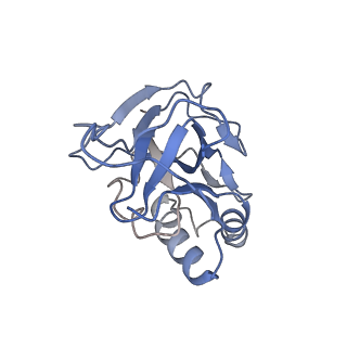 10196_6sh8_O_v1-2
Cryo-EM structure of the Type III-B Cmr-beta bound to cognate target RNA and AMPPnP, state 2, in the presence of ssDNA