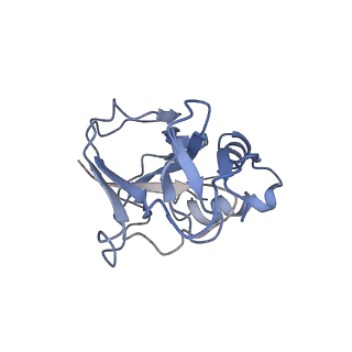 10196_6sh8_P_v1-2
Cryo-EM structure of the Type III-B Cmr-beta bound to cognate target RNA and AMPPnP, state 2, in the presence of ssDNA