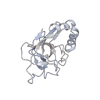 10196_6sh8_Q_v1-2
Cryo-EM structure of the Type III-B Cmr-beta bound to cognate target RNA and AMPPnP, state 2, in the presence of ssDNA