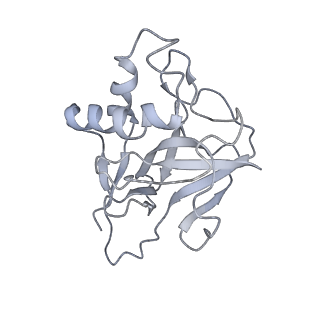 10196_6sh8_W_v1-2
Cryo-EM structure of the Type III-B Cmr-beta bound to cognate target RNA and AMPPnP, state 2, in the presence of ssDNA