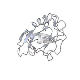 10196_6sh8_X_v1-2
Cryo-EM structure of the Type III-B Cmr-beta bound to cognate target RNA and AMPPnP, state 2, in the presence of ssDNA