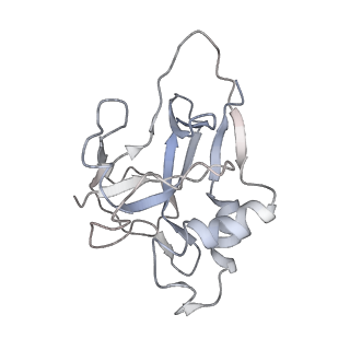 10196_6sh8_Y_v1-2
Cryo-EM structure of the Type III-B Cmr-beta bound to cognate target RNA and AMPPnP, state 2, in the presence of ssDNA