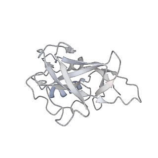 10196_6sh8_Z_v1-2
Cryo-EM structure of the Type III-B Cmr-beta bound to cognate target RNA and AMPPnP, state 2, in the presence of ssDNA