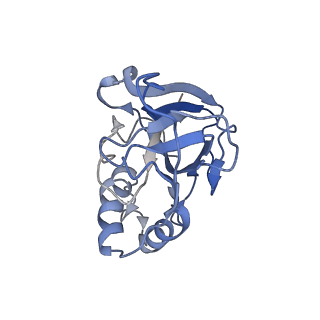 10196_6sh8_l_v1-2
Cryo-EM structure of the Type III-B Cmr-beta bound to cognate target RNA and AMPPnP, state 2, in the presence of ssDNA