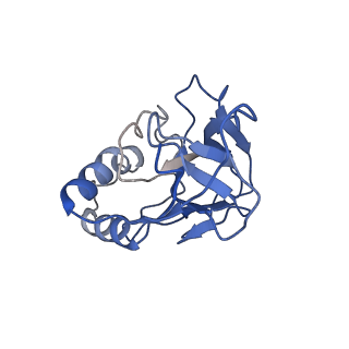 10196_6sh8_m_v1-2
Cryo-EM structure of the Type III-B Cmr-beta bound to cognate target RNA and AMPPnP, state 2, in the presence of ssDNA