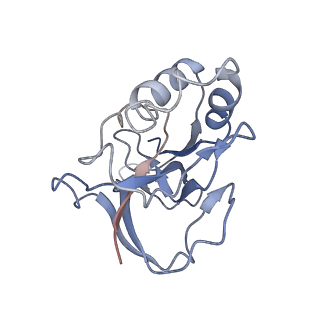 10196_6sh8_o_v1-2
Cryo-EM structure of the Type III-B Cmr-beta bound to cognate target RNA and AMPPnP, state 2, in the presence of ssDNA