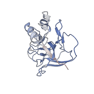 10196_6sh8_p_v1-2
Cryo-EM structure of the Type III-B Cmr-beta bound to cognate target RNA and AMPPnP, state 2, in the presence of ssDNA