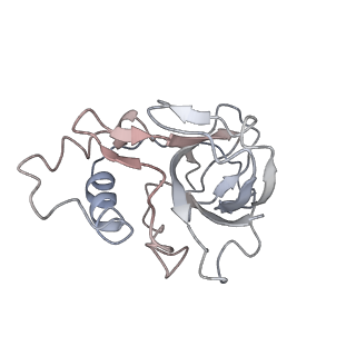 10196_6sh8_q_v1-2
Cryo-EM structure of the Type III-B Cmr-beta bound to cognate target RNA and AMPPnP, state 2, in the presence of ssDNA