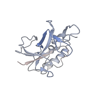 10196_6sh8_w_v1-2
Cryo-EM structure of the Type III-B Cmr-beta bound to cognate target RNA and AMPPnP, state 2, in the presence of ssDNA