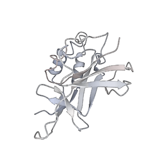 10196_6sh8_y_v1-2
Cryo-EM structure of the Type III-B Cmr-beta bound to cognate target RNA and AMPPnP, state 2, in the presence of ssDNA