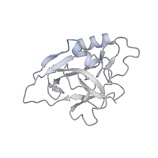 10196_6sh8_z_v1-2
Cryo-EM structure of the Type III-B Cmr-beta bound to cognate target RNA and AMPPnP, state 2, in the presence of ssDNA